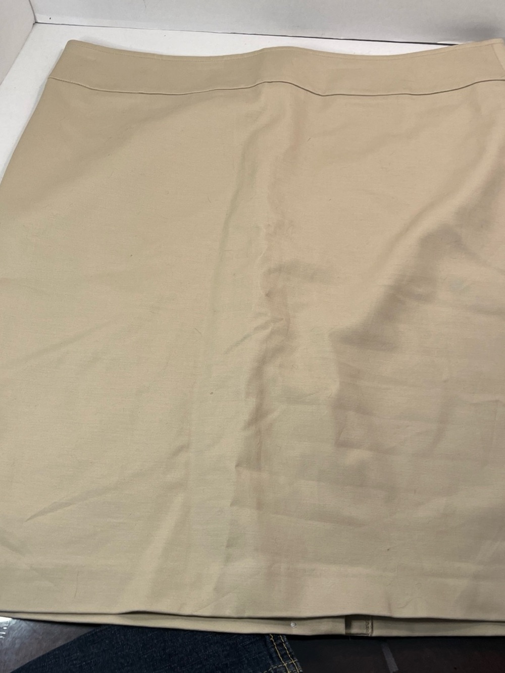 Ann Taylor Beige Pencil Skirt - Classic Neutral Workwear